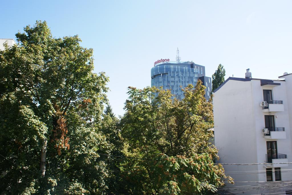 Pensiunea Helvetia Bukares Ruang foto